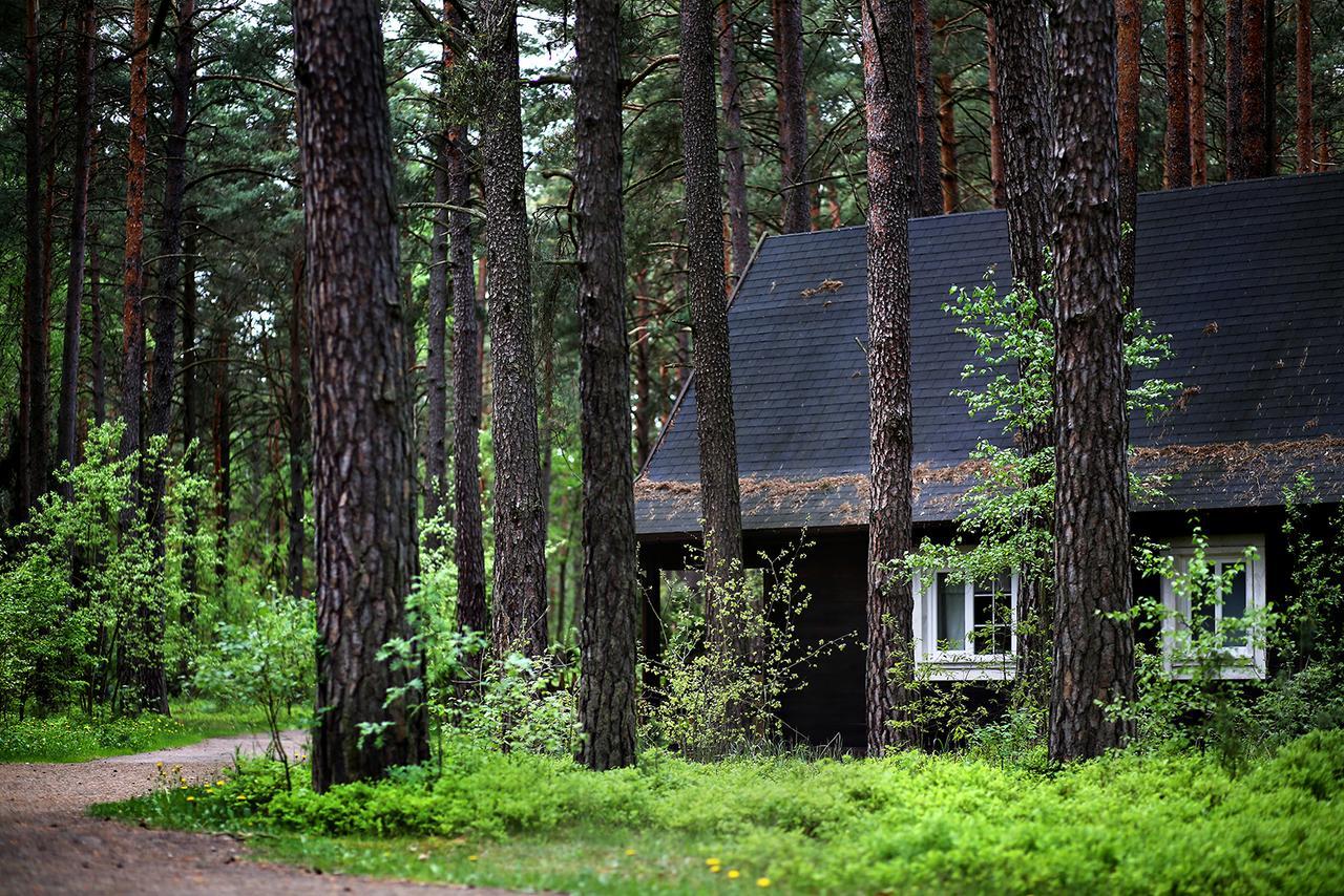 Wiatraki Nature Resort Olsztynek Zewnętrze zdjęcie