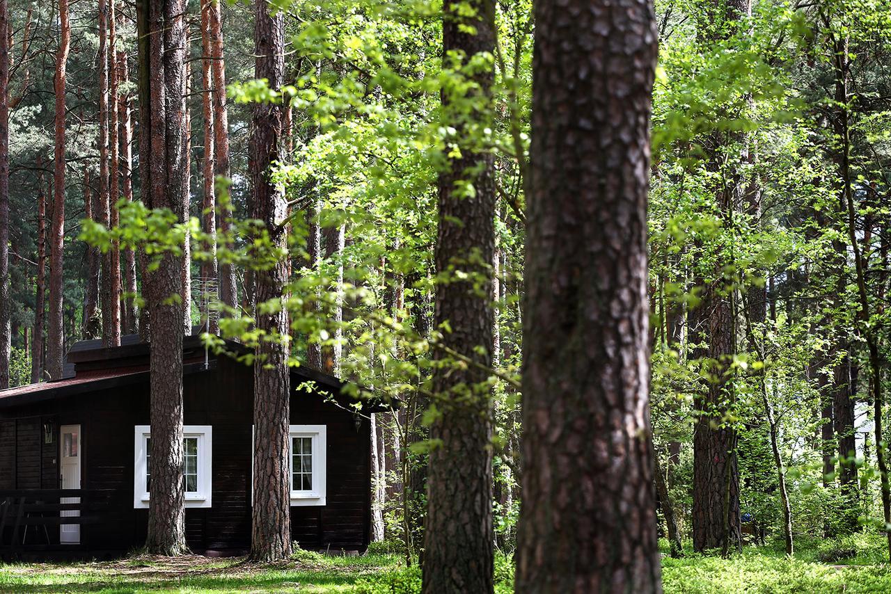 Wiatraki Nature Resort Olsztynek Zewnętrze zdjęcie