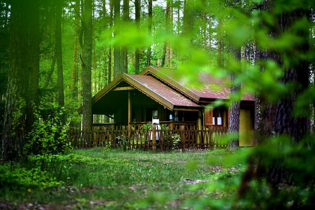 Wiatraki Nature Resort Olsztynek Zewnętrze zdjęcie